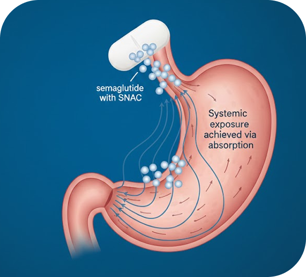Drug Delivery & Administration